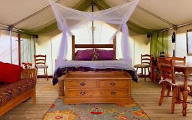 So Damn Lucky Glamping